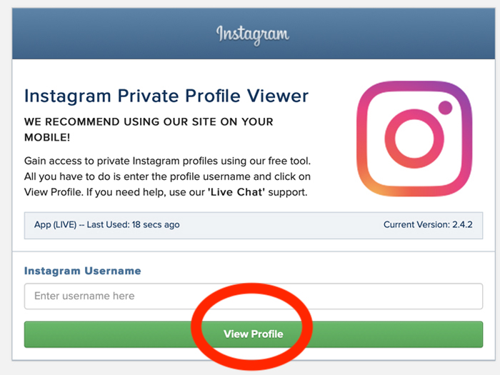 Instagram Private Account Viewer Tool.
